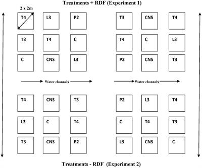 Cold-tolerant phosphate-solubilizing Pseudomonas strains promote wheat growth and yield by improving soil phosphorous (P) nutrition status